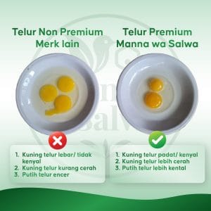 cover telur premium