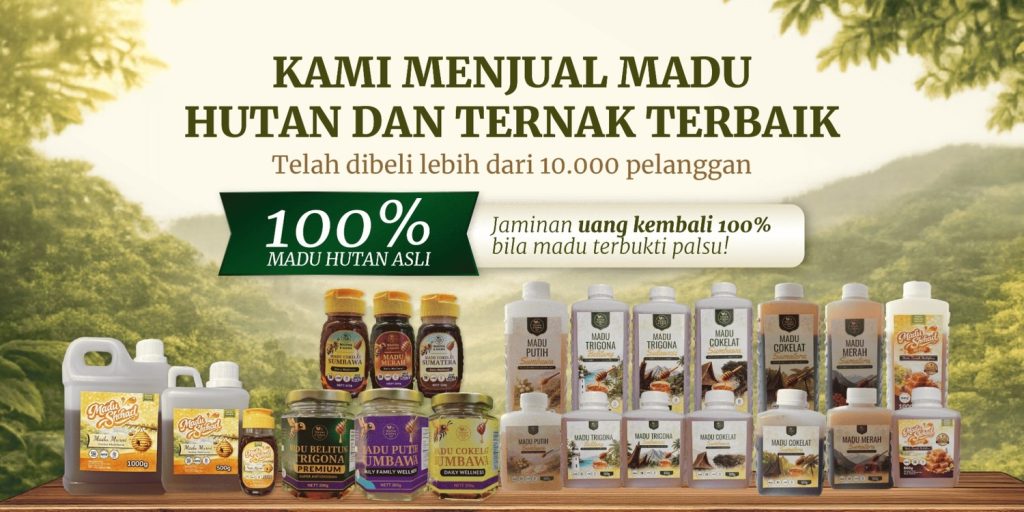 dekorasiupdater03 01