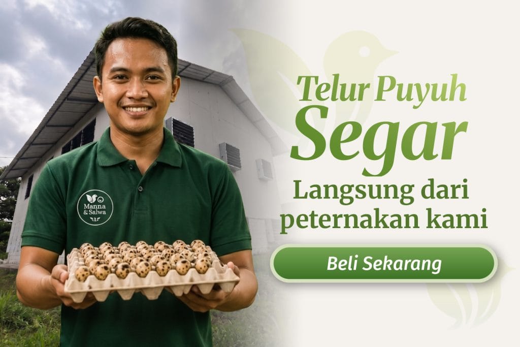 header footer 01.jpg