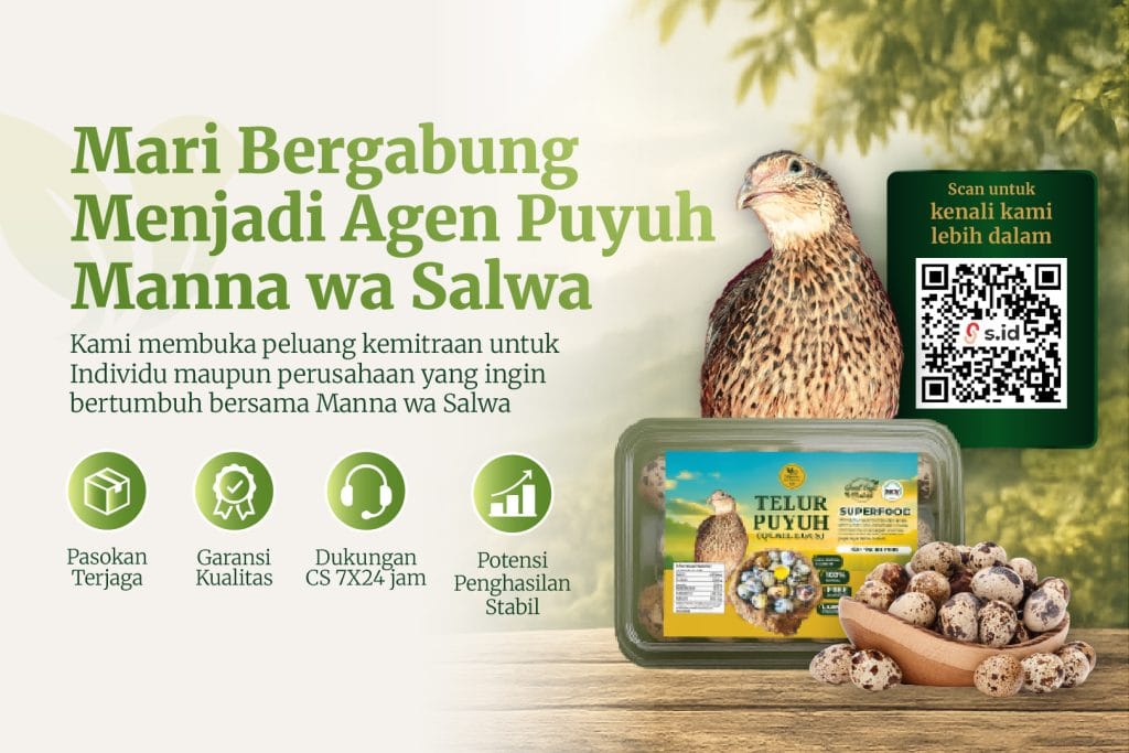 header footer 02.jpg