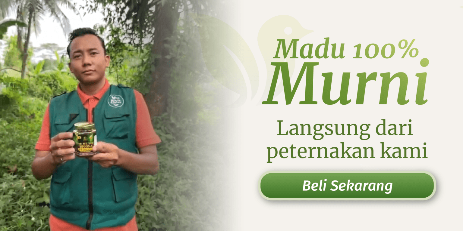 header footer madu 01