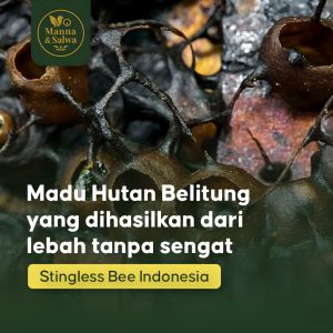 id 11134207 822wk mnnla7cknmypd4